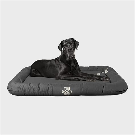 8 Best Waterproof Dog Beds | The Family Handyman