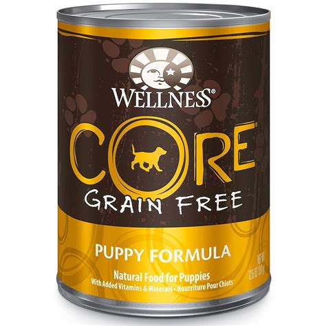 Wellness CORE Natural Grain Free Wet Canned Dog Food - Best top care with dogs