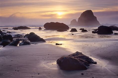 Oregon Coast Sunset - Alan Majchrowicz Photography