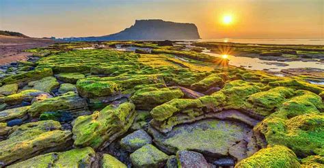 Here's why Jeju Island, South Korea’s Hawaii, is known as ‘Island of ...