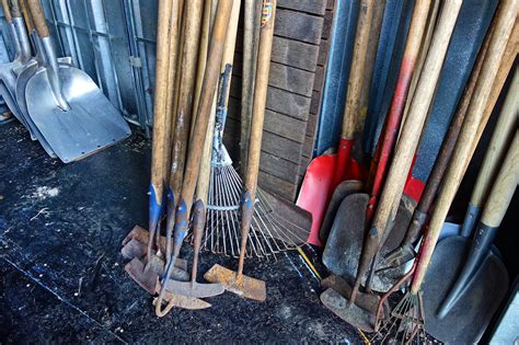 How to Choose The Right Shovel for Your Gardening Project - Pioneerthinking.com