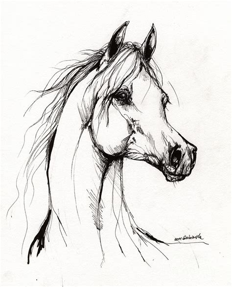 Arabian Horse Drawing 38 Drawing by Angel Ciesniarska