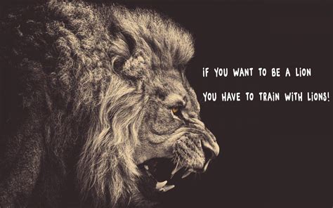 Lion Quotes Wallpapers - Top Free Lion Quotes Backgrounds - WallpaperAccess