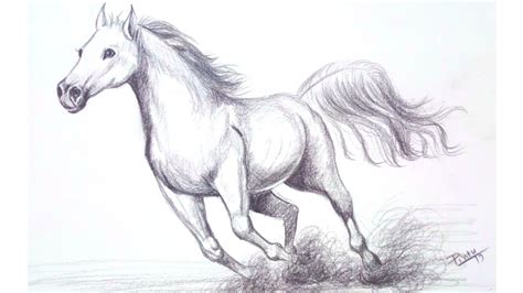 Galloping Horse Sketch