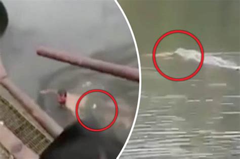 Crocodile attack caught on camera as shaman tries to kill beast | Daily Star