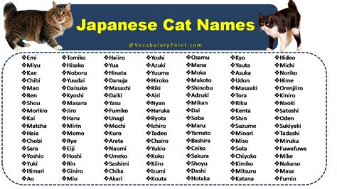 Japanese Cat Names (Funny, Cute and Kitten) - Vocabulary Point