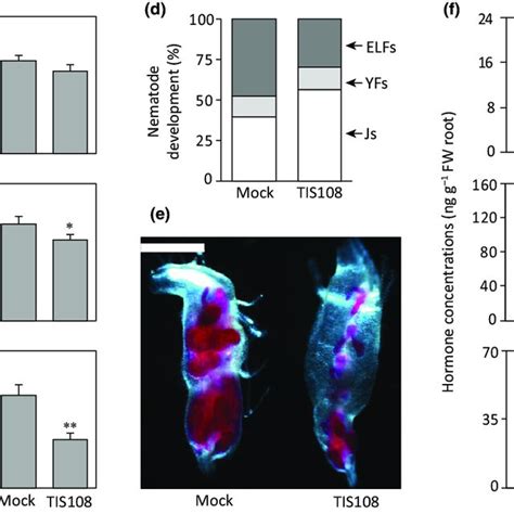 Responses of rice strigolactone (SL)-biosynthesis and -signaling dwarf... | Download Scientific ...