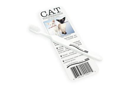 The Best Cat Toothbrush in 2022 | My Pet Needs That