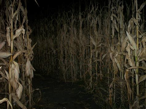 Haunted Corn Maze – ~Visit Upshur County~