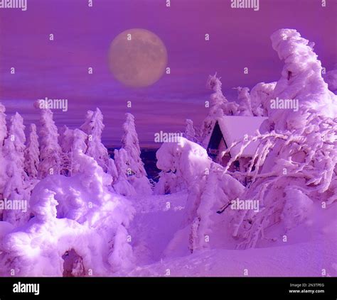 Winter Landscape with Snowy Trees Full Moon Stock Photo - Alamy