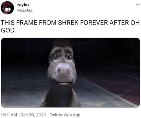 Donkey Staring Meme Shrek