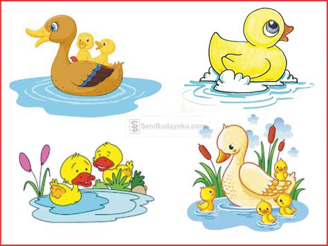 Gambar Bebek Kartun – newstempo