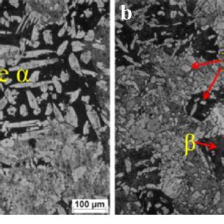 Microstructure of the investigated cast brass alloy (a) without USV and... | Download Scientific ...