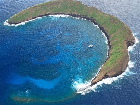 Molokini Crater Snorkeling | Kayak & Canoe to Molokini