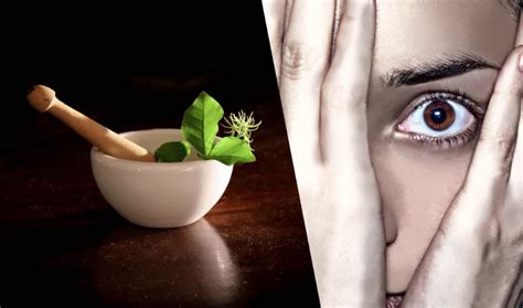 8 Best Herbal Remedies for Anxiety and Depression | KnowlesWellness