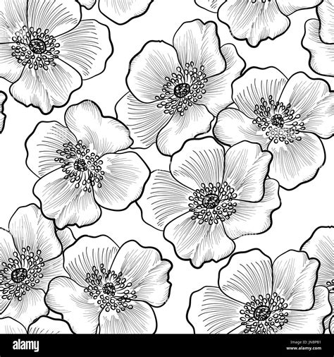 78 Background Flower Drawing Pictures - MyWeb