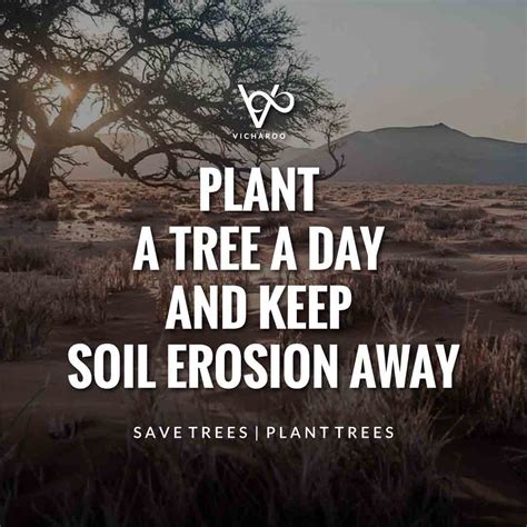 Plant a tree a day and keep soil erosion away | Save Forests | Tree ...