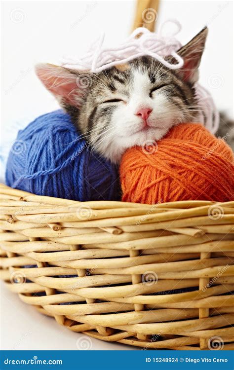 Cat Playing With Yarn Stock Images - Image: 15248924