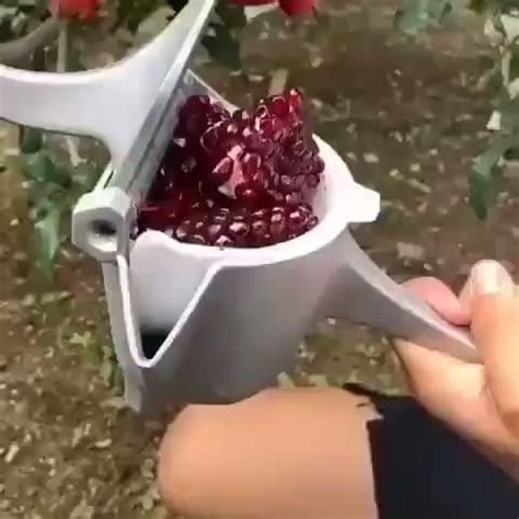 pomegranate juicer machine : r/oddlysatisfying