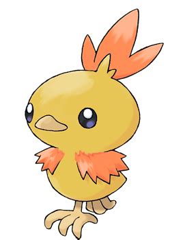 #255 Shiny Torchic by xZekrom101x on DeviantArt