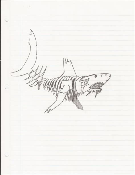 shark skeleton Beta by Mr-Carbon on DeviantArt