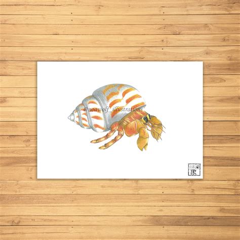 Hermit Crab Art - Etsy