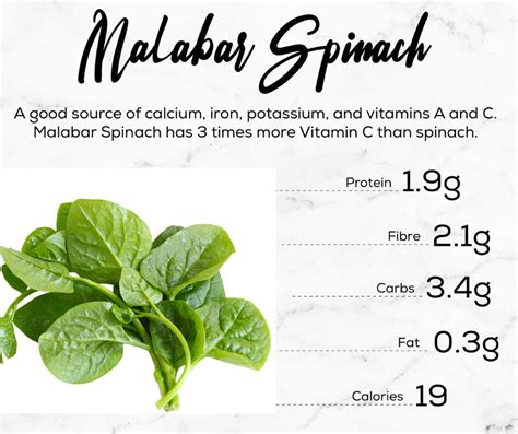 Malabar Spinach - Healthier Steps