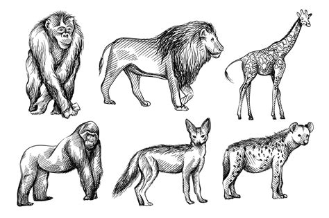 Premium Vector | Hand-drawn black and white sketch set of wild animals from Africa.