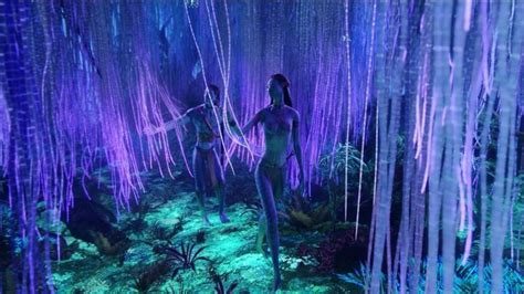 Pin by Sandra Jones on avatar | Avatar tree, Avatar movie, Avatar