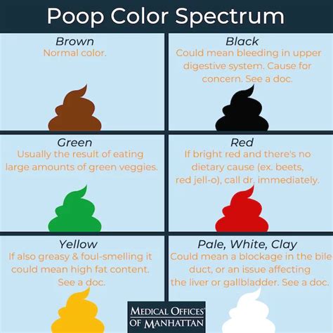 What Does Your Poop Say About Your Health?