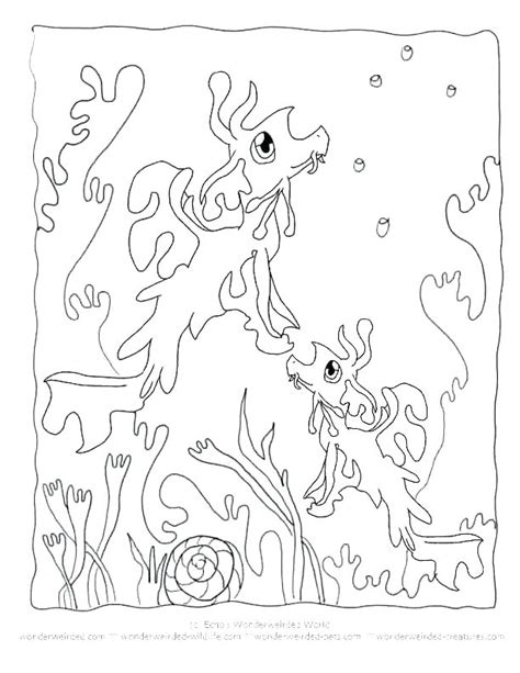 Sea Dragon Coloring Pages at GetDrawings | Free download