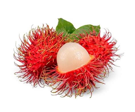 Free Photo | Rambutan fruit