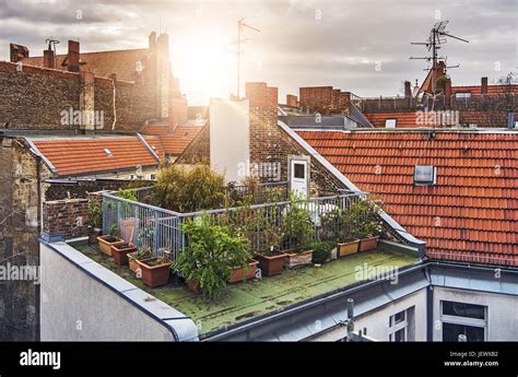 Small rooftop garden Stock Photo - Alamy