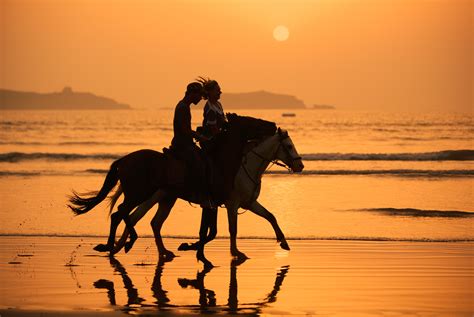 Amigos Sunset Beach Horseback Riding Tour - Los Cabos Passport