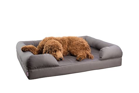 Top 10 Extra Large Dog Beds With Memory Foam