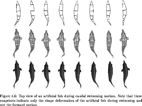 Swimming Fish Animation Tutorial