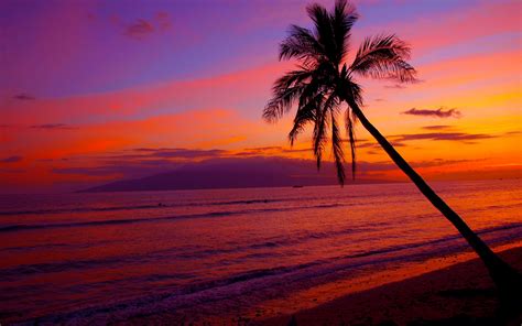 🔥 [110+] Hawaii Sunset Wallpapers | WallpaperSafari