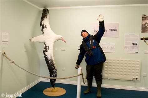 Comparing the wingspan of the Wandering Albatross, which exceeds 3 meters : r/pics