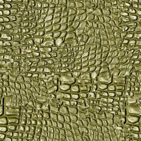 Alligator Skin Free Stock Photo - Public Domain Pictures