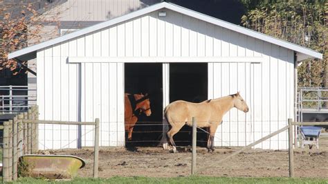 Best Horse Barn Designs and Tips For Small Farms