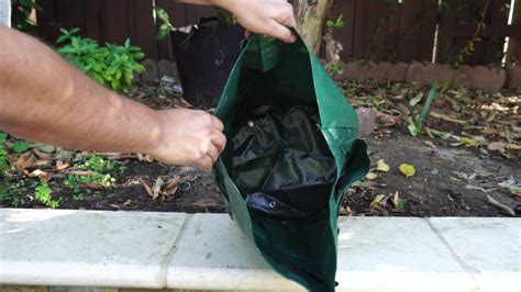 Growing LOTS of Strawberries in Strawberry Grow Bags. – California Gardening