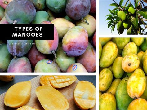 Types of Aam: 20 List of Most Popular Mango Varieties in the World