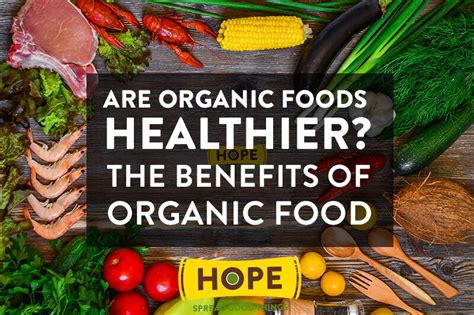 The Benefits of Organic Food: Are Organic Foods Healthier?