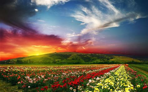 🔥 Download Spring Landscape Desktop Wallpaper Funmozar by @larryhoffman | Spring Computer ...