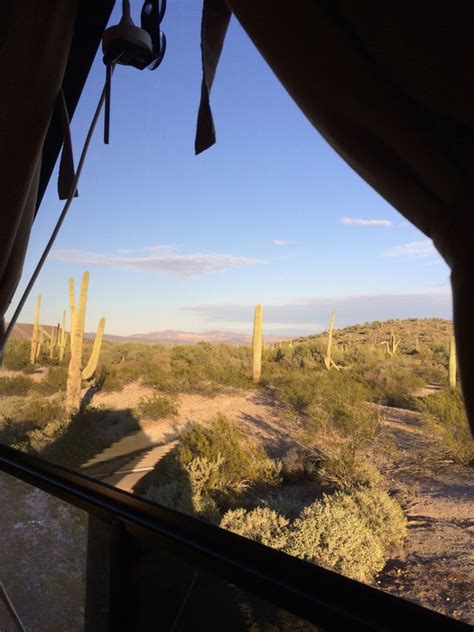 A Visit to Organ Pipe National Monument.... - traveling doves