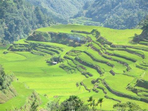 Visiting the Batad Rice Terraces in the Philippines | Indiana Jo