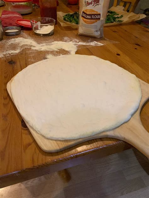 48+ Hour Biga Pizza Dough — pizzaptah