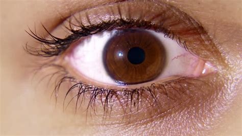 Miosis - Constriction of the Pupil: Causes, Symptoms and Treatment - Scope Heal