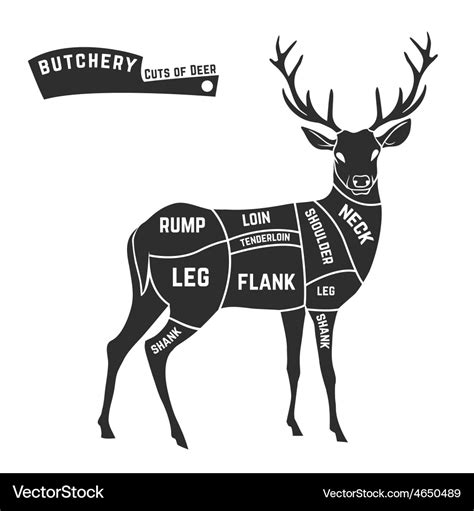 Venison Cuts Of Meat Diagram - Hanenhuusholli