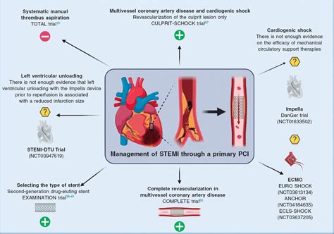 State-of-the-art and future perspective of percutaneous interventions for the management of STEMI